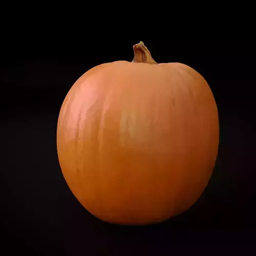Realistic Large Pumpkin - Scanned 3D model