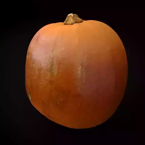 Realistic Large Pumpkin - Scanned