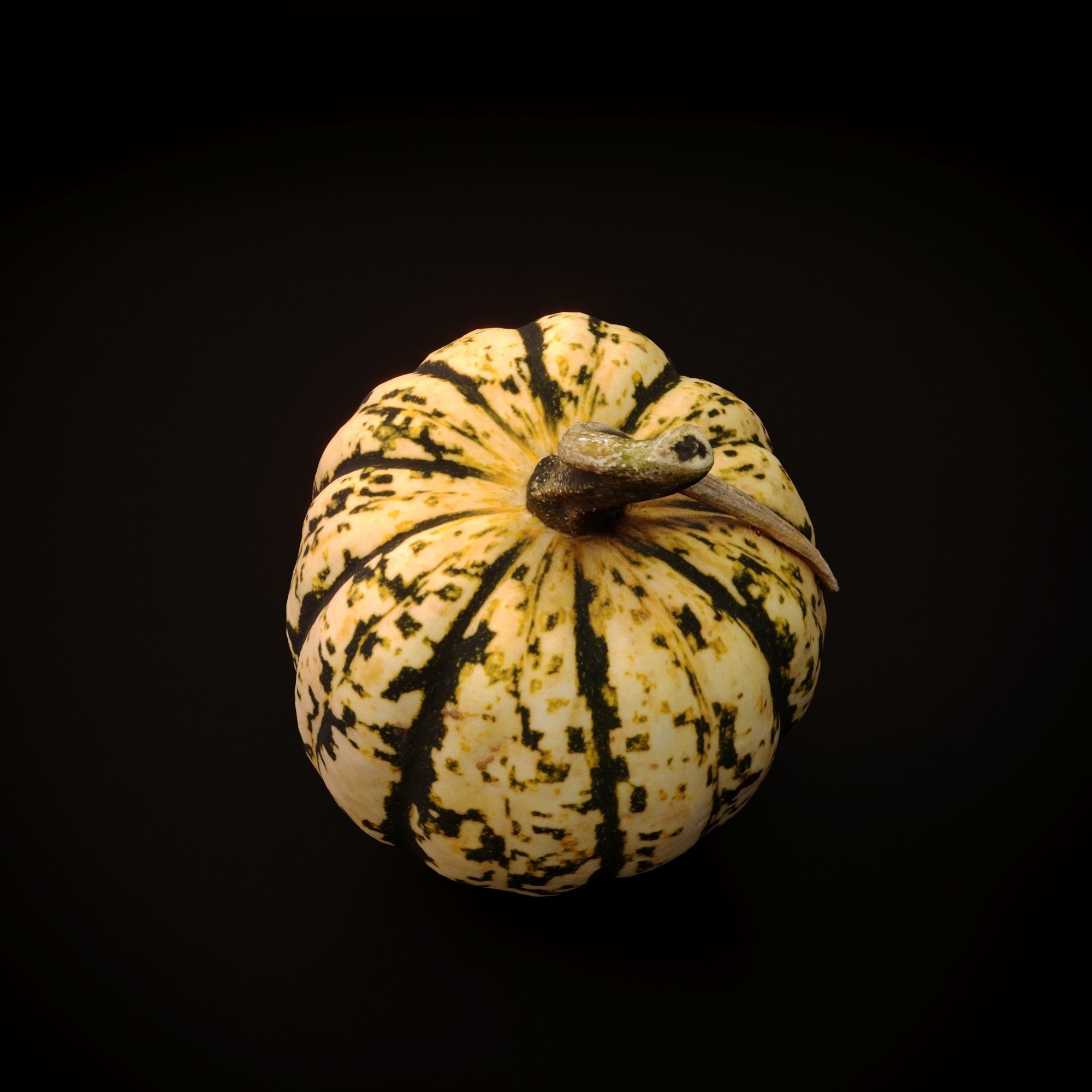 Realistic Small Squash Pumpkin - Scanned 3D model_3