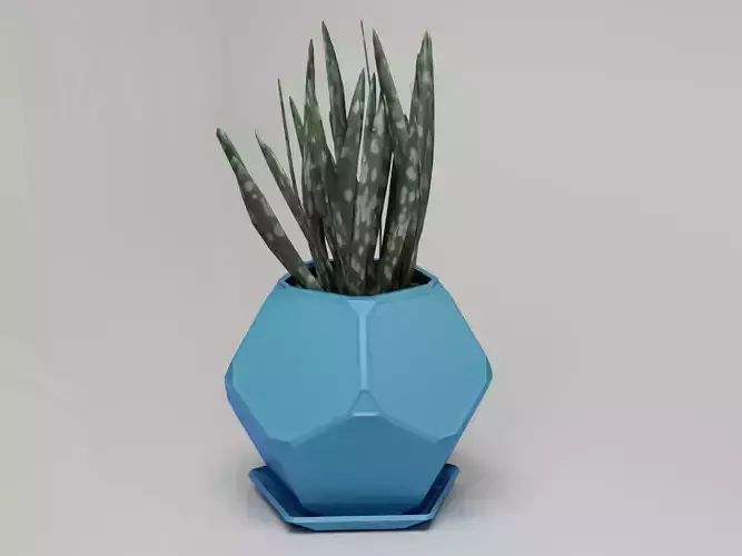 Dodecahedron pot with tray planter 3D print model