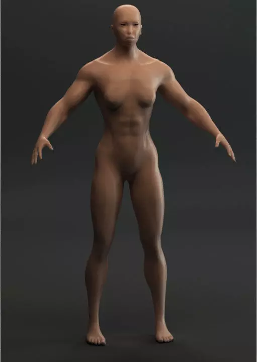 Synthetic humanoid female 3D model