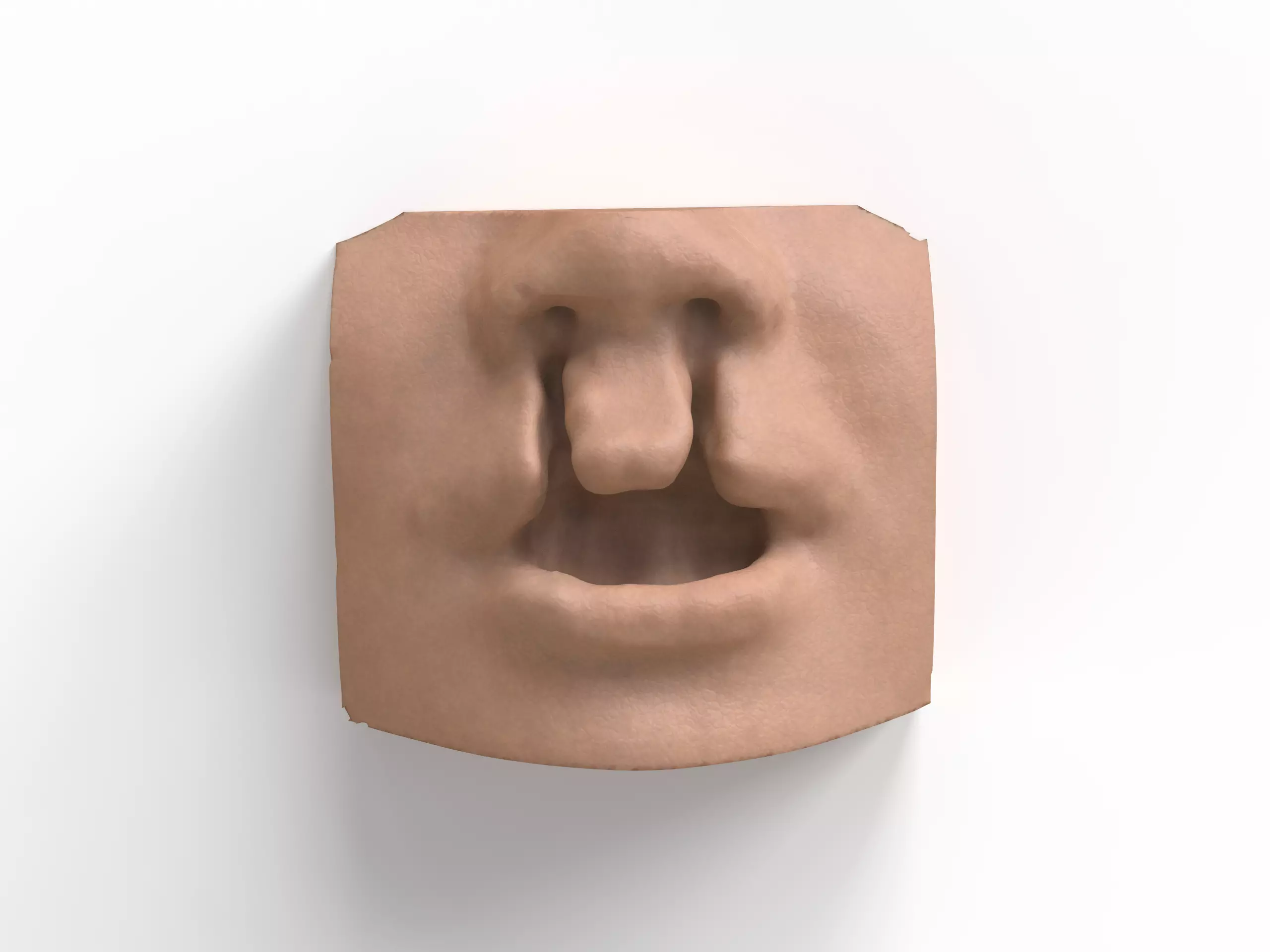 bilateral cleft lip and palate for surgical simulation 3D print model_0