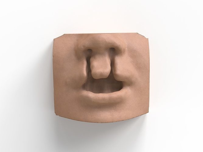 bilateral cleft lip and palate for surgical simulation 3D print model