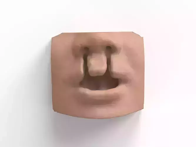 bilateral cleft lip and palate for surgical simulation