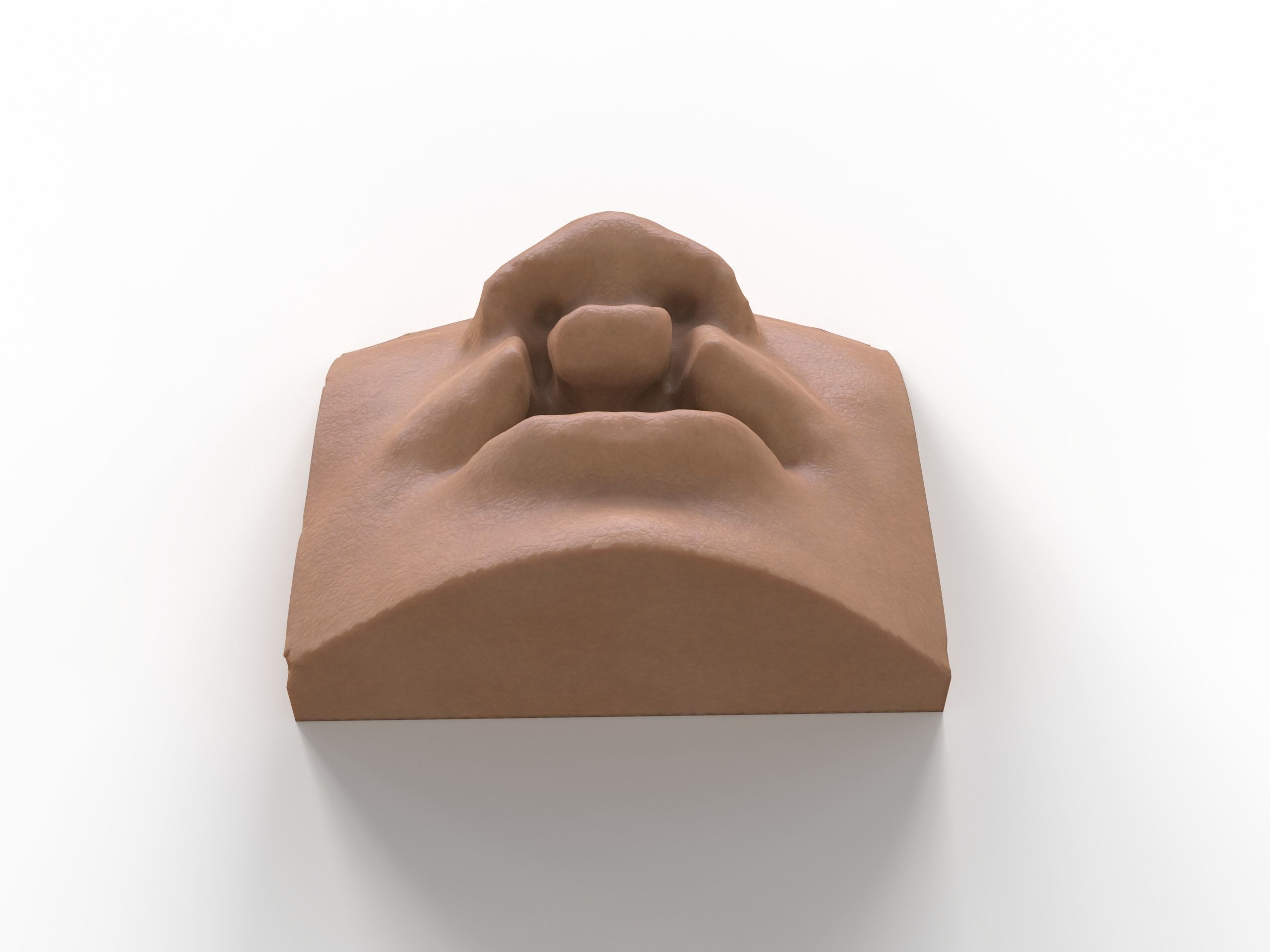 bilateral cleft lip and palate for surgical simulation 3D print model_3
