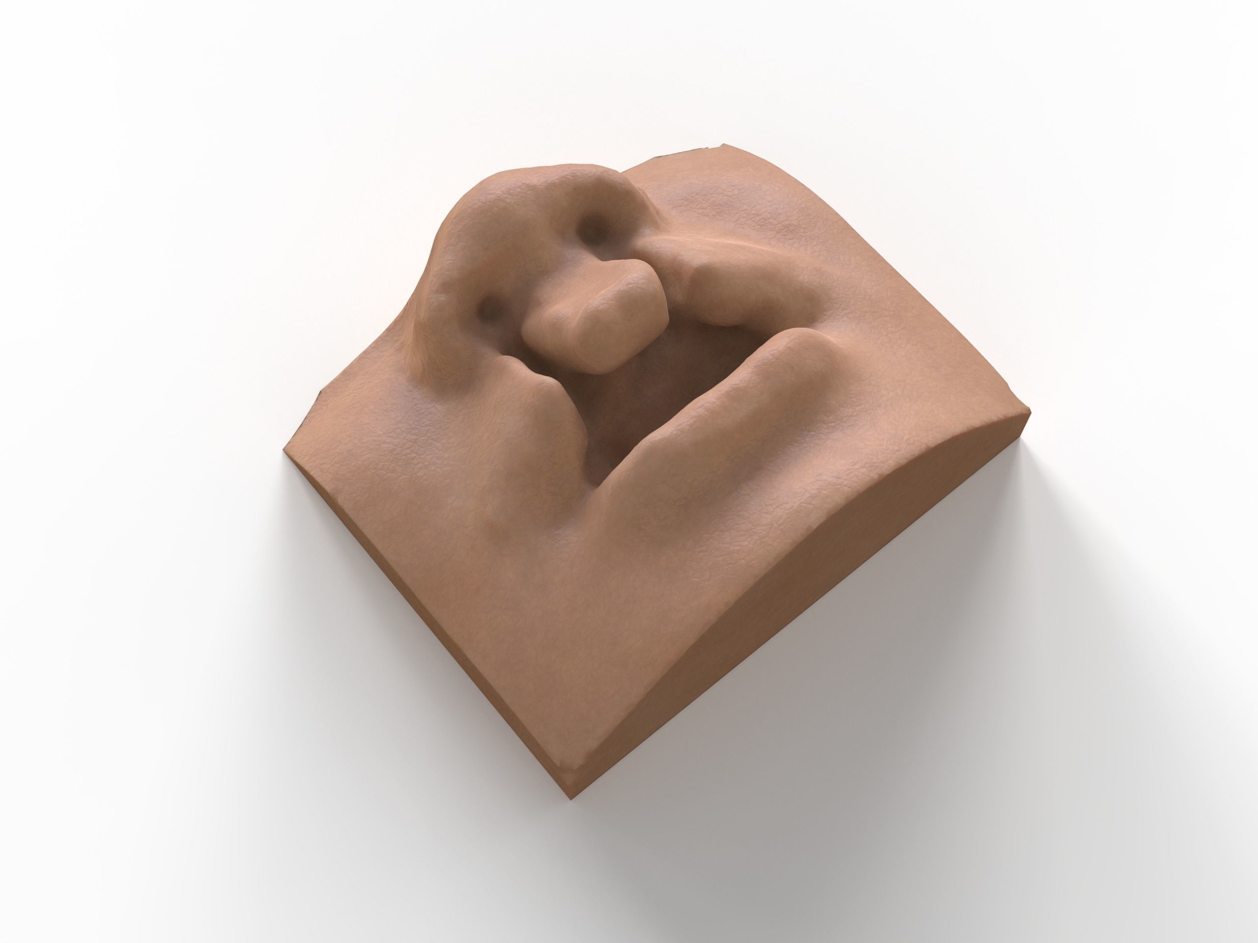 bilateral cleft lip and palate for surgical simulation 3D print model_1