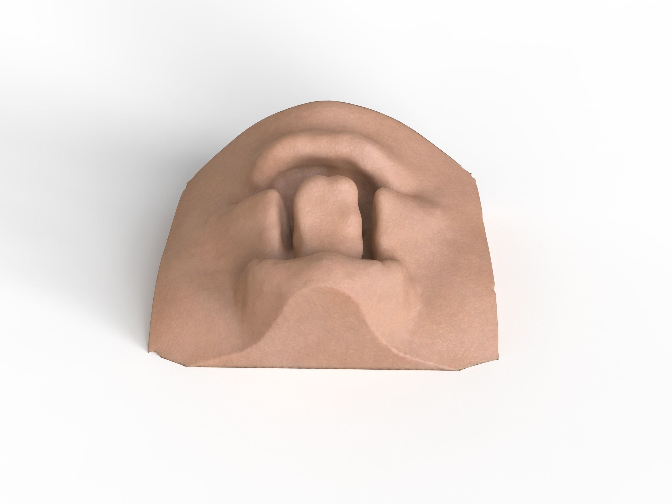 bilateral cleft lip and palate for surgical simulation 3D print model_2