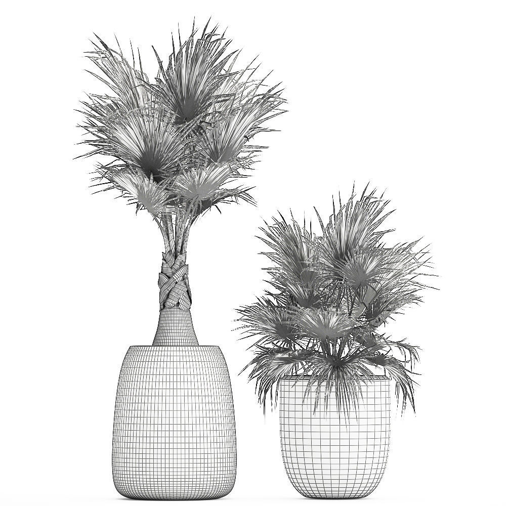 Decorative palm in a white flowerpot 818 3D model_6