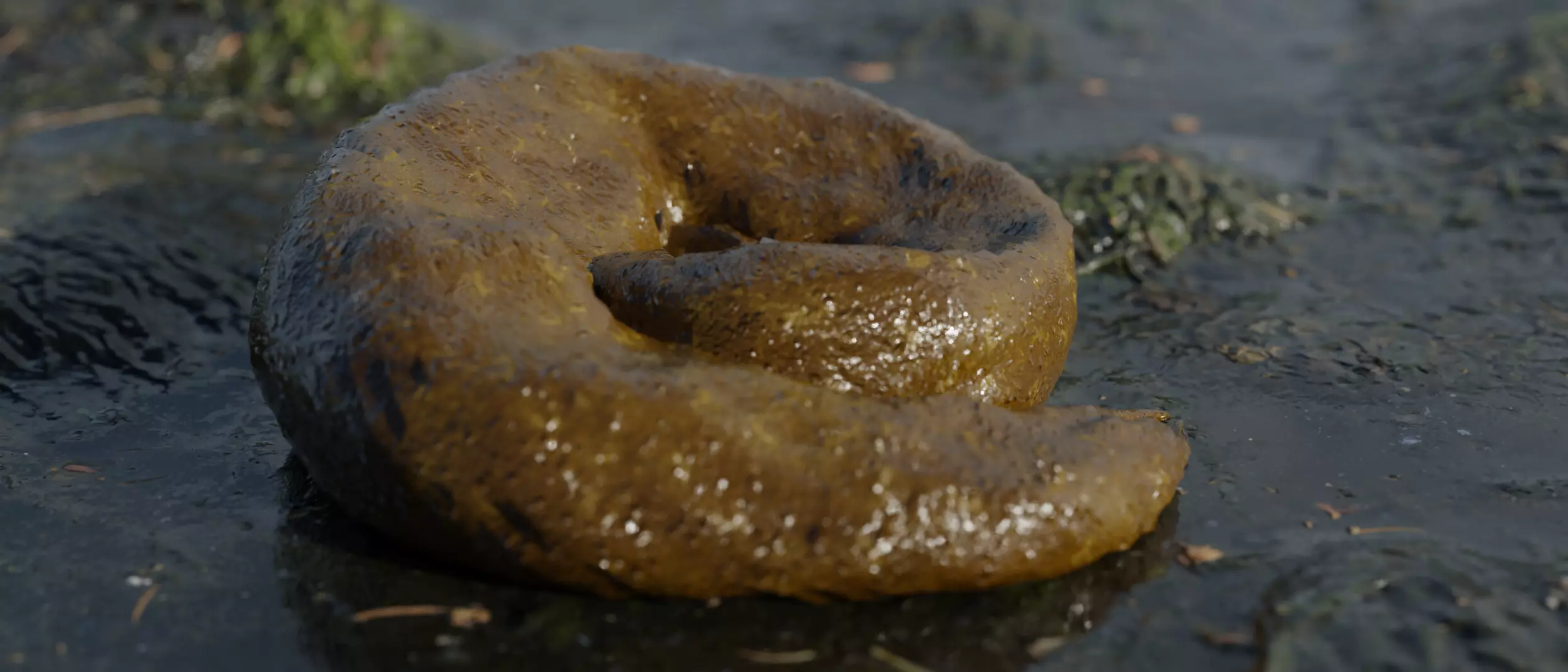 Realistic Wet Shit Low-poly 3D model_0