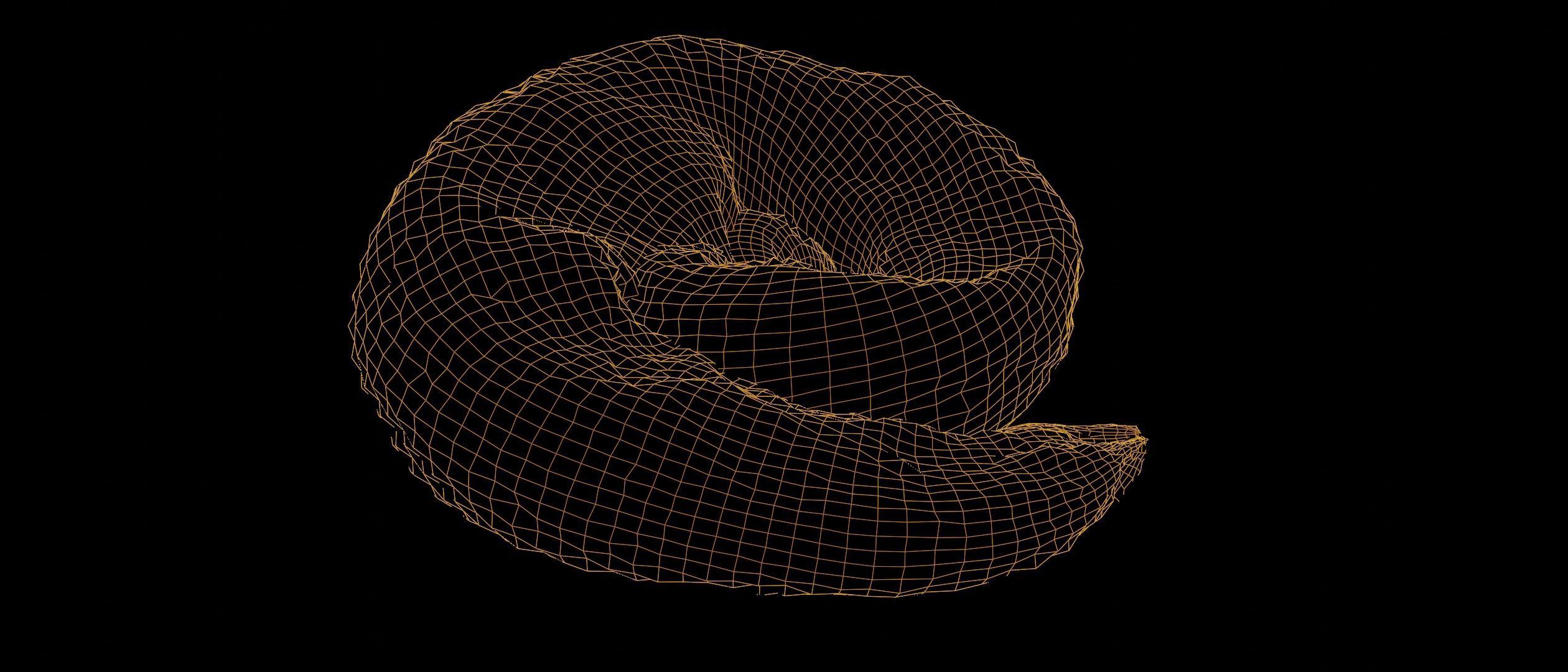 Realistic Wet Shit Low-poly 3D model_5