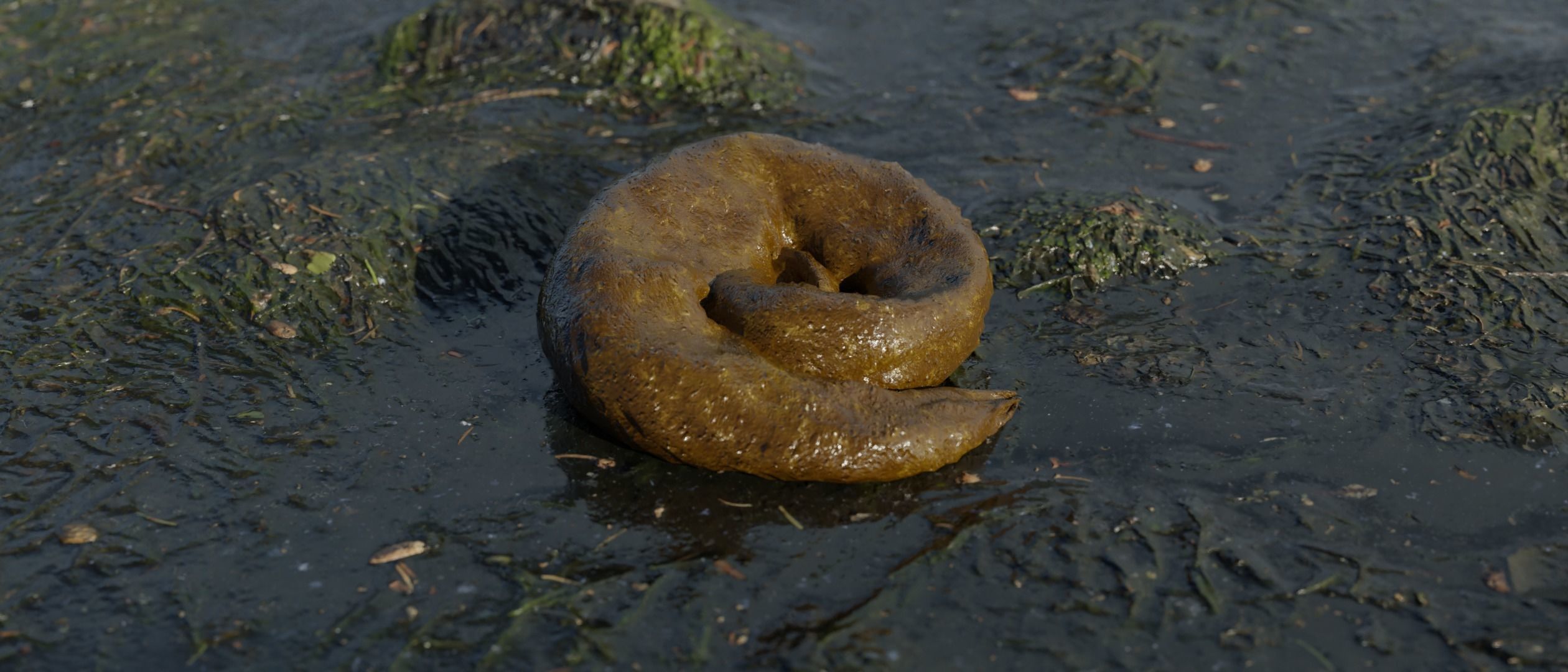 Realistic Wet Shit Low-poly 3D model_1