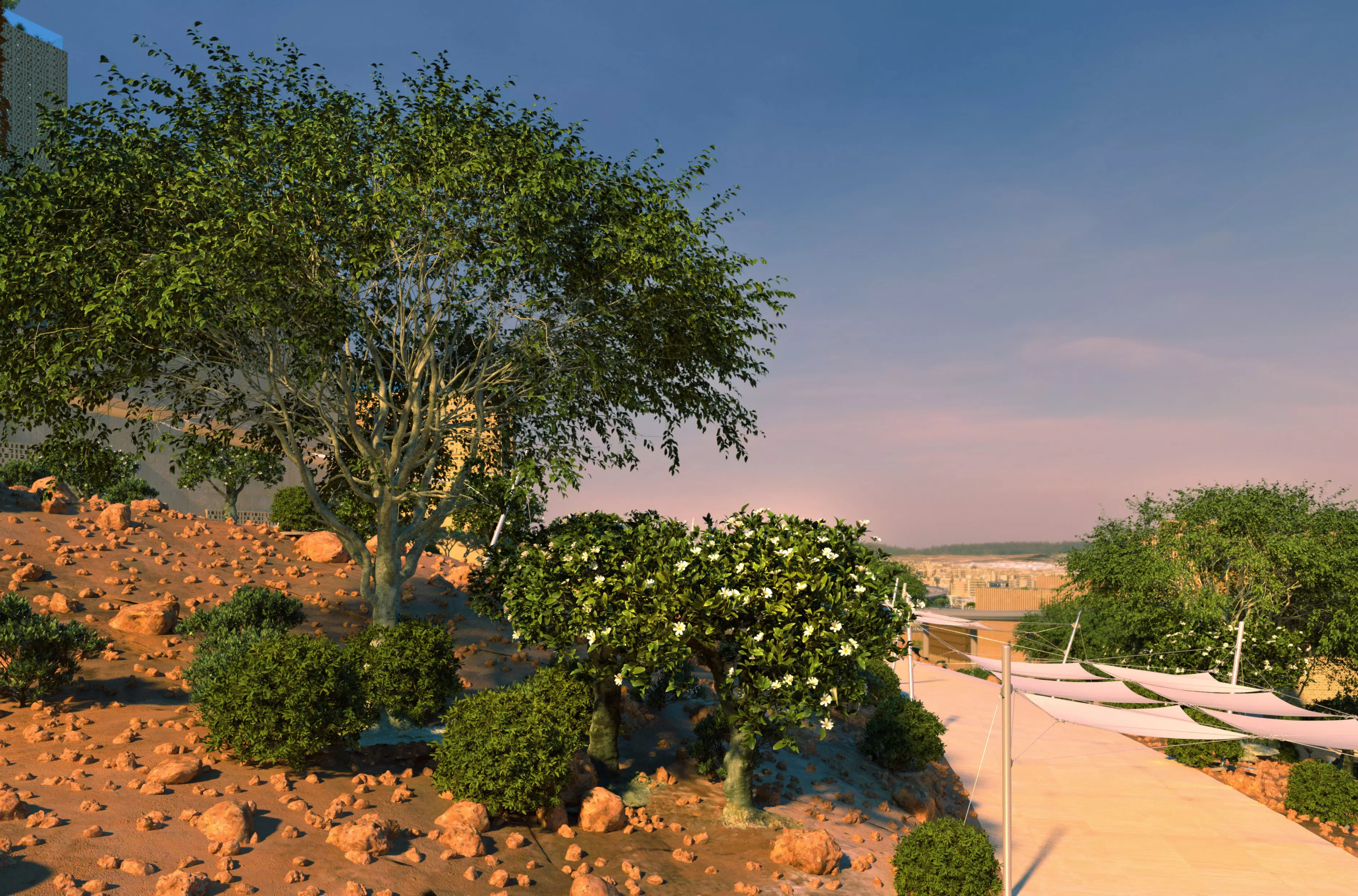 3 Ficus nitida trees 3D Model Collection_0