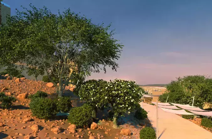 3 Ficus nitida trees 3D Model Collection 3 Ficus nitida trees 3D Model Collection