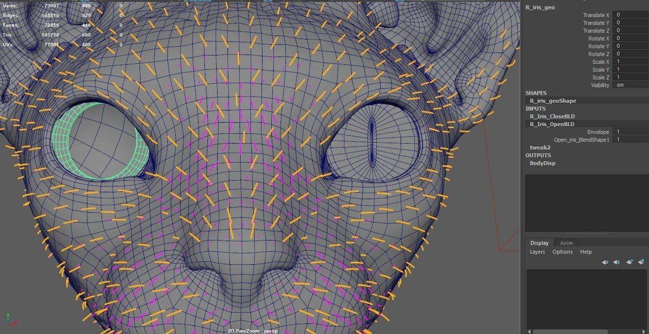 Sphynx Cat  3D model_26