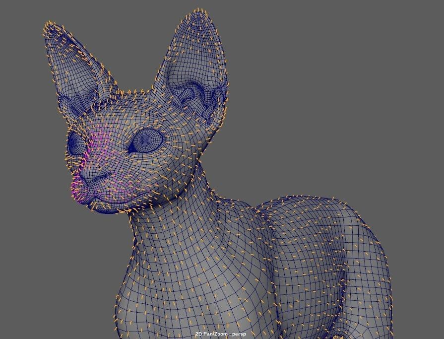 Sphynx Cat  3D model_28