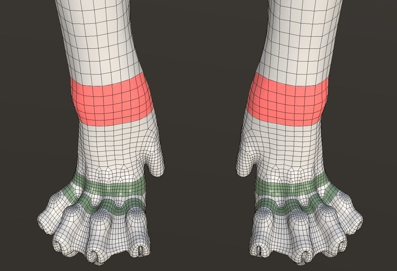 Sphynx Cat  3D model_22