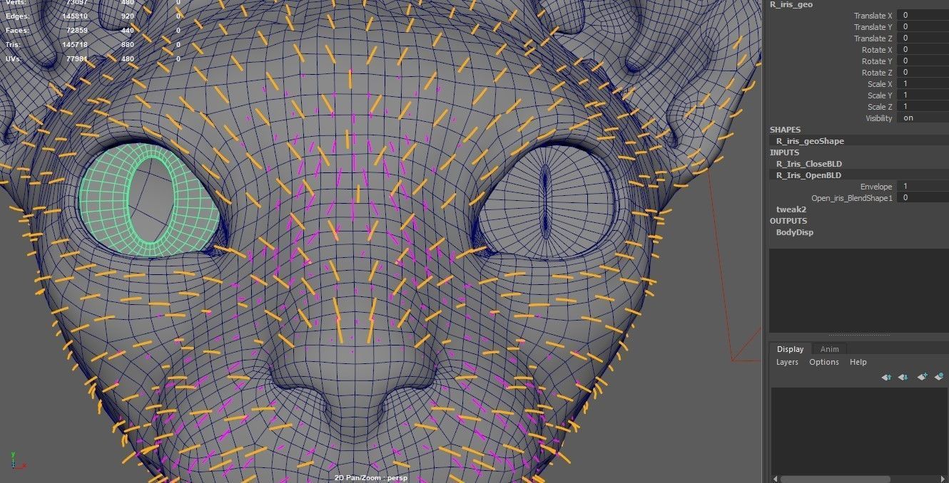 Sphynx Cat  3D model_27