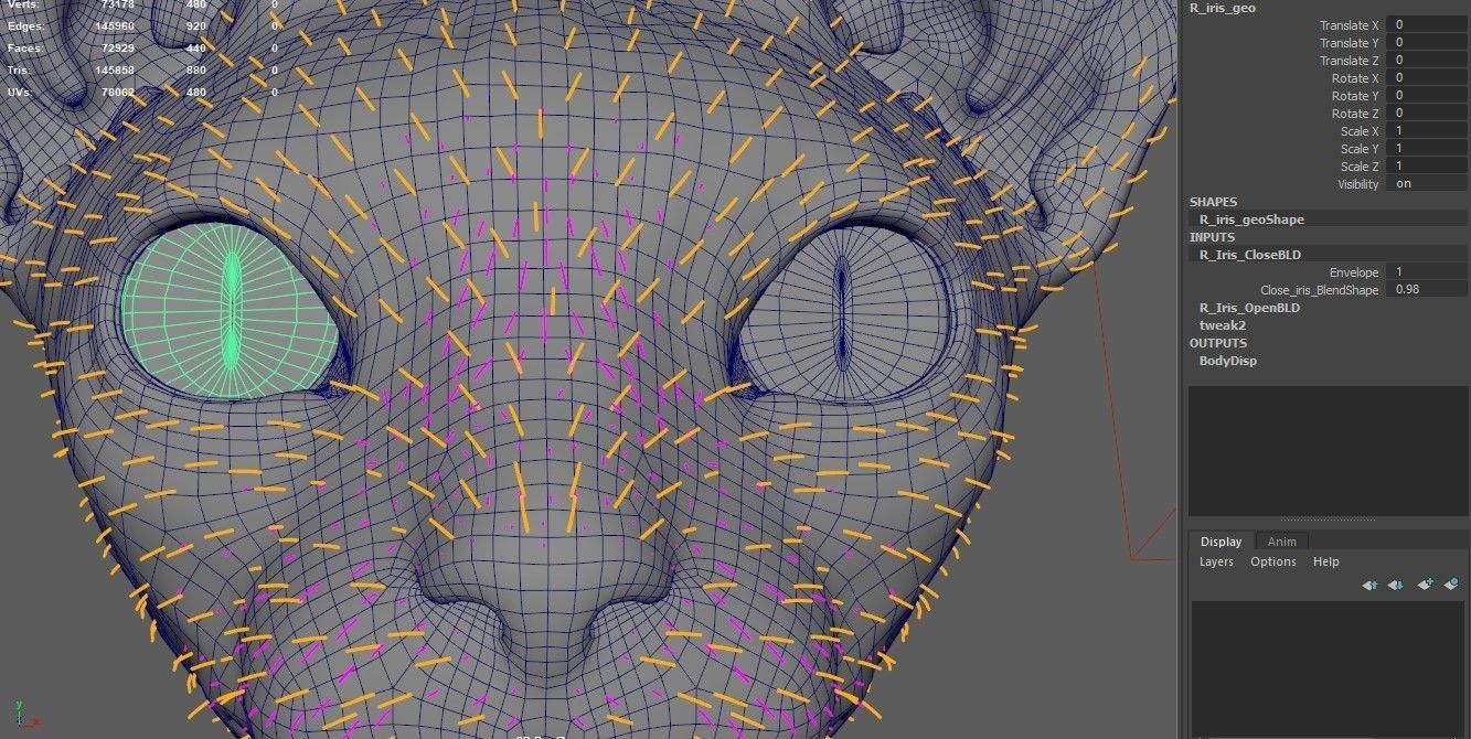 Sphynx Cat  3D model_25