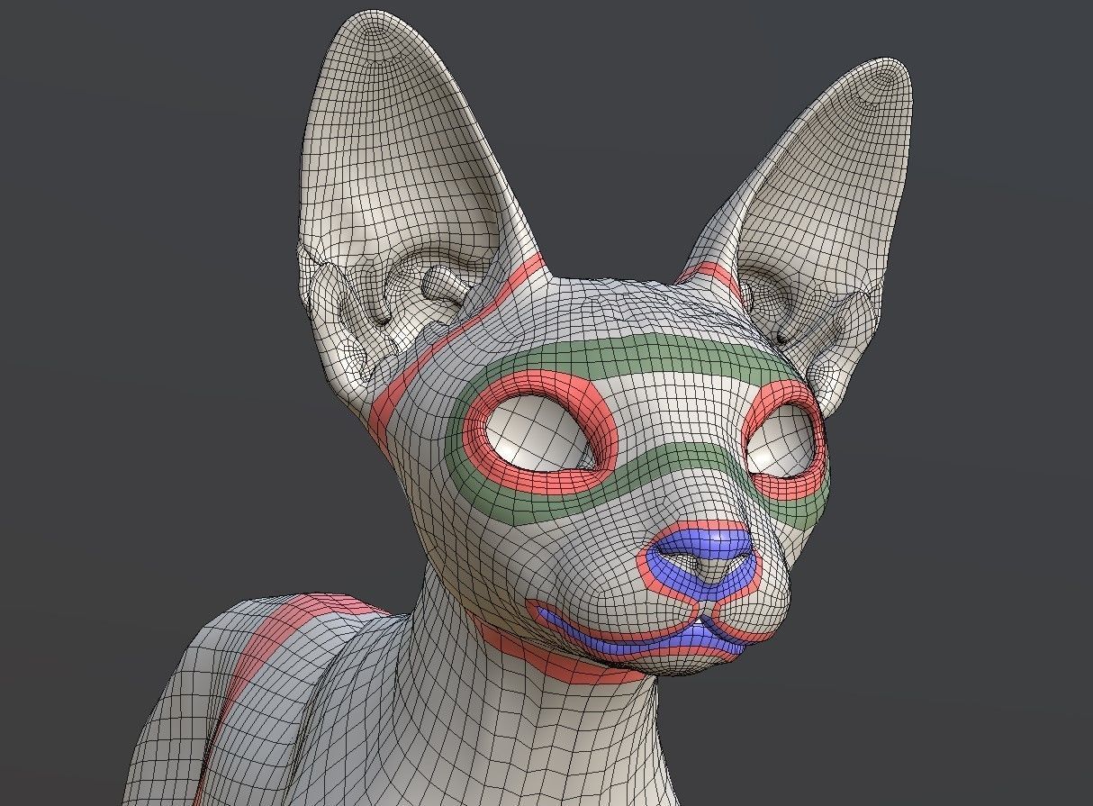 Sphynx Cat  3D model_21