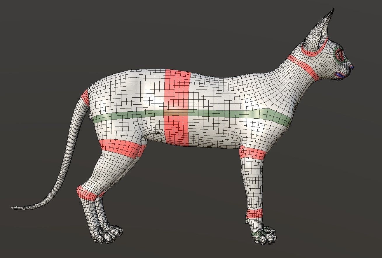 Sphynx Cat  3D model_20