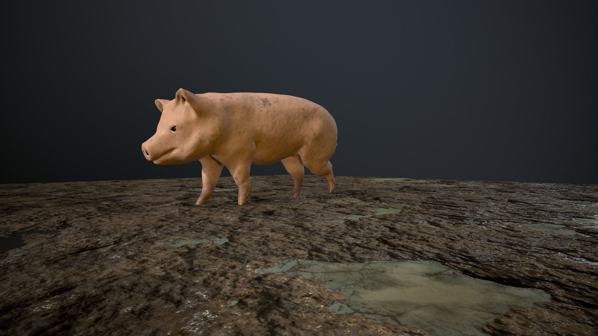 3D Pig on rock Low-poly 3D model_1