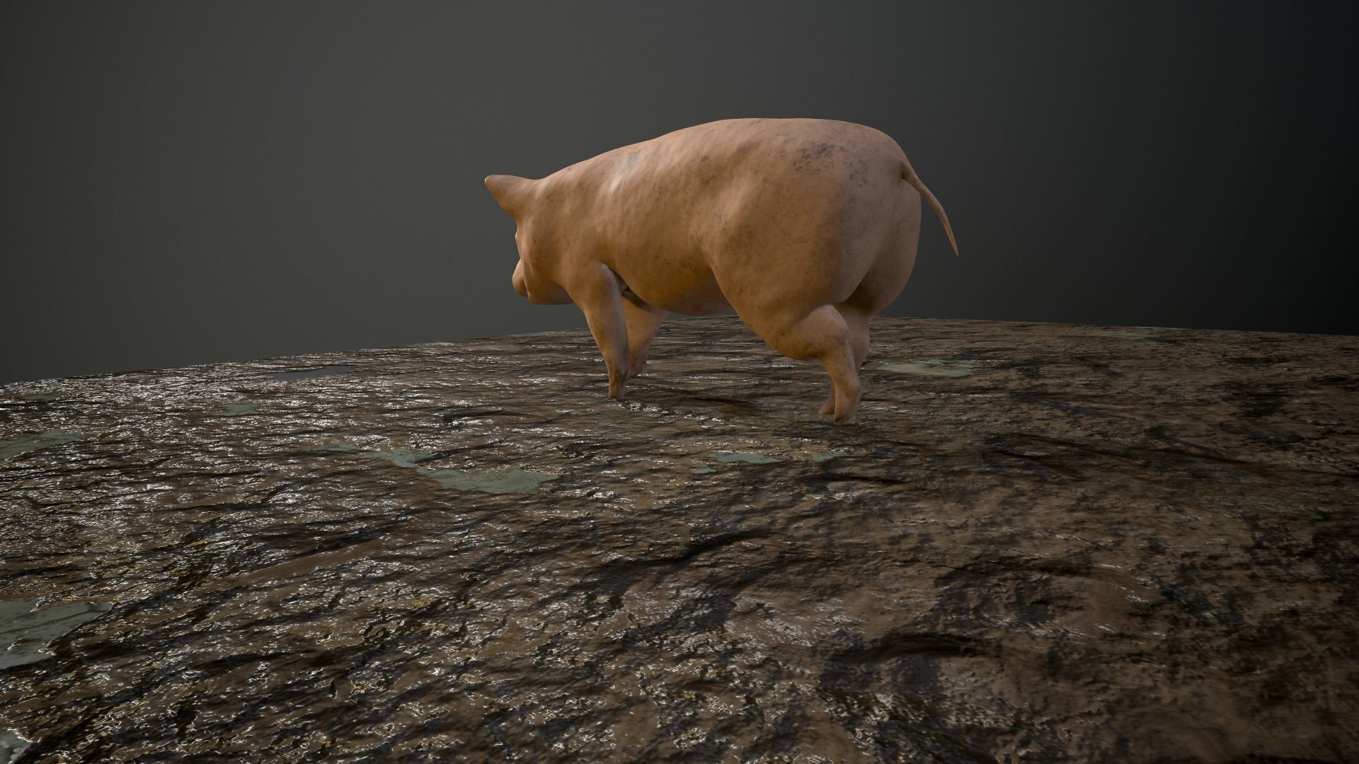 3D Pig on rock Low-poly 3D model_3