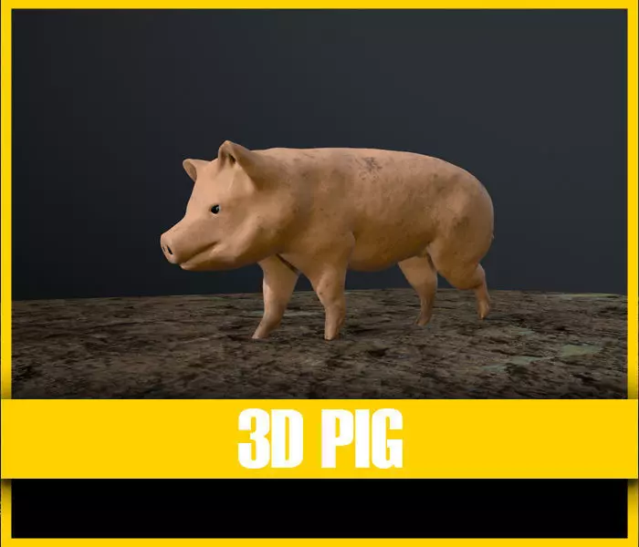 3D Pig on rock Low-poly 3D model_0
