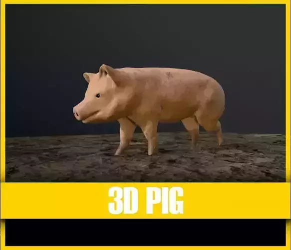 3D Pig on rock
