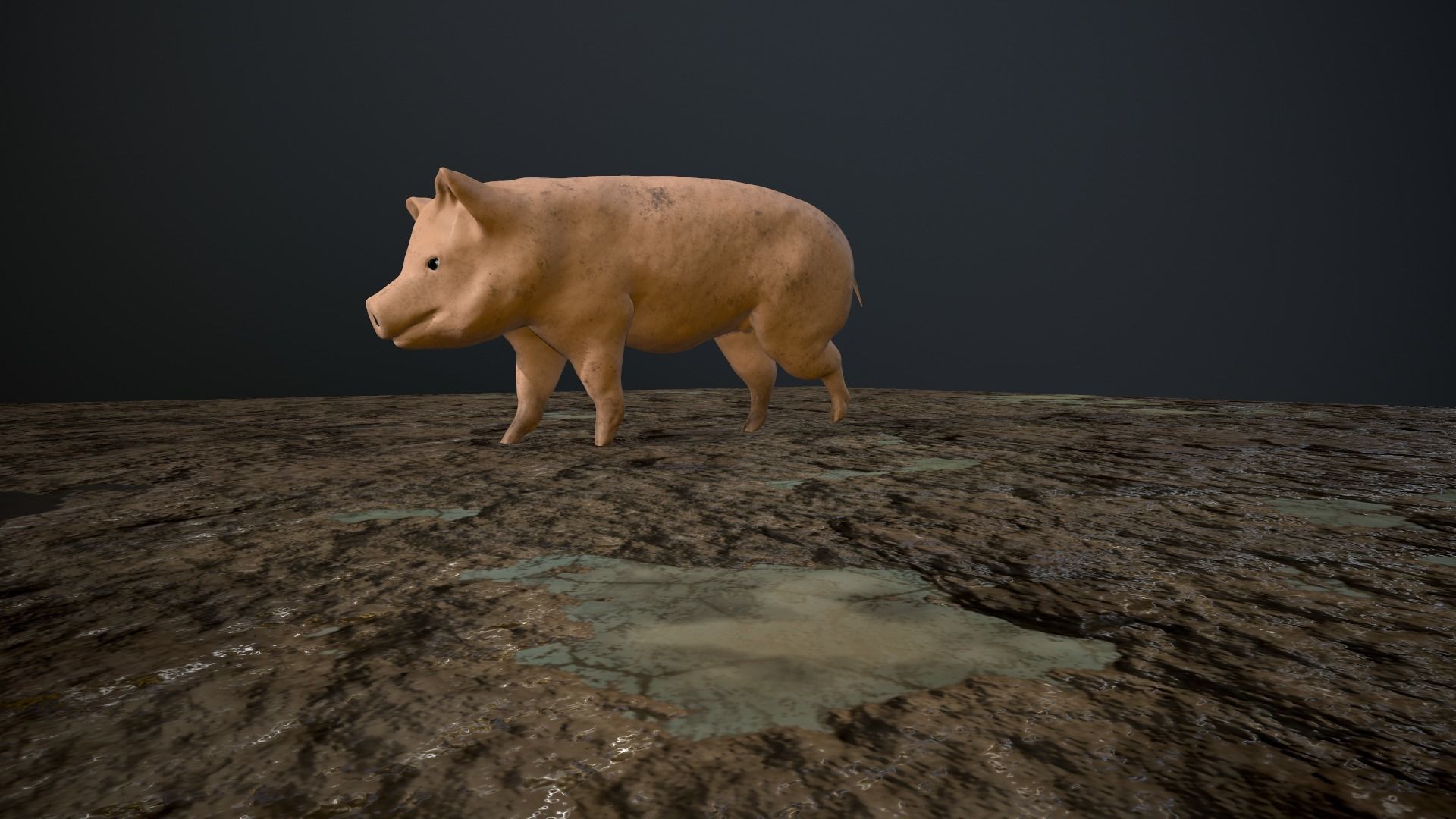 3D Pig on rock Low-poly 3D model_2