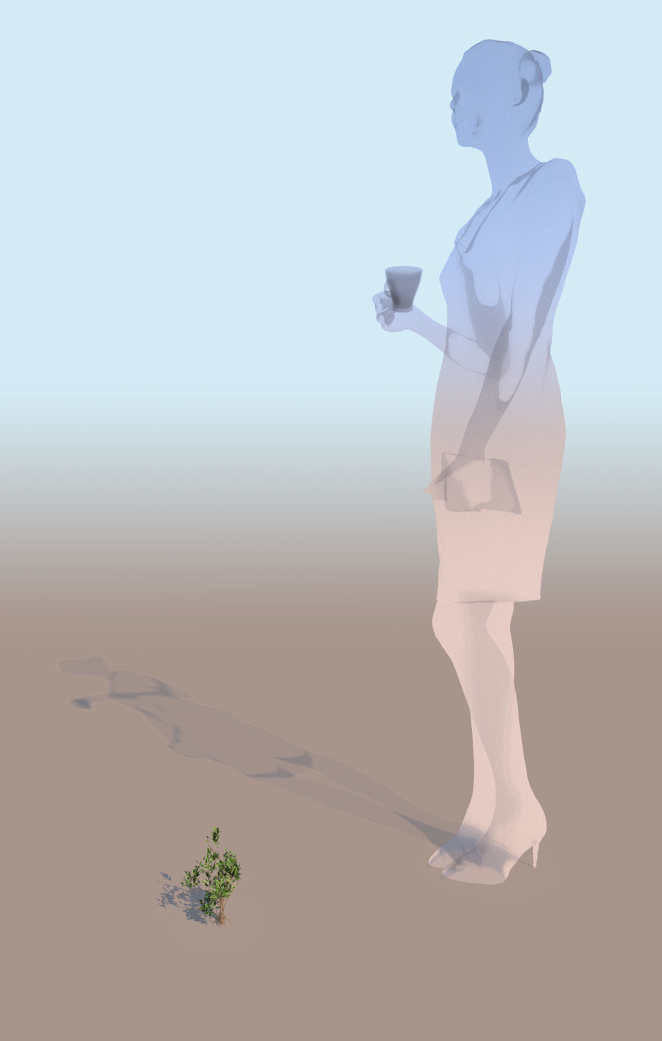 10 mangrove rhizophora mangle models 3D Model Collection_12