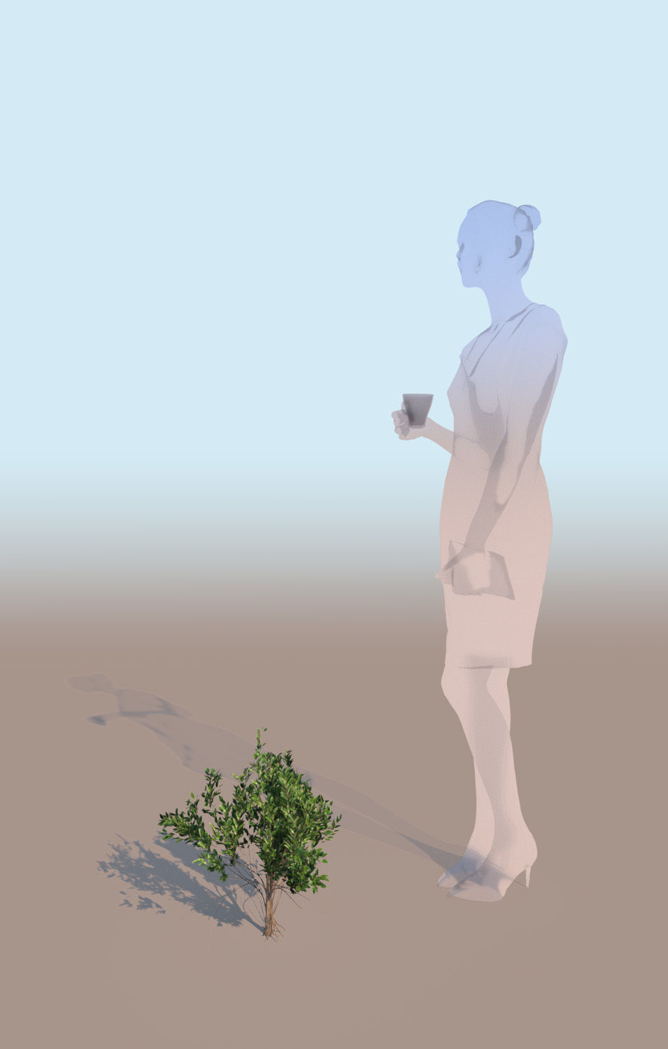 10 mangrove rhizophora mangle models 3D Model Collection_10