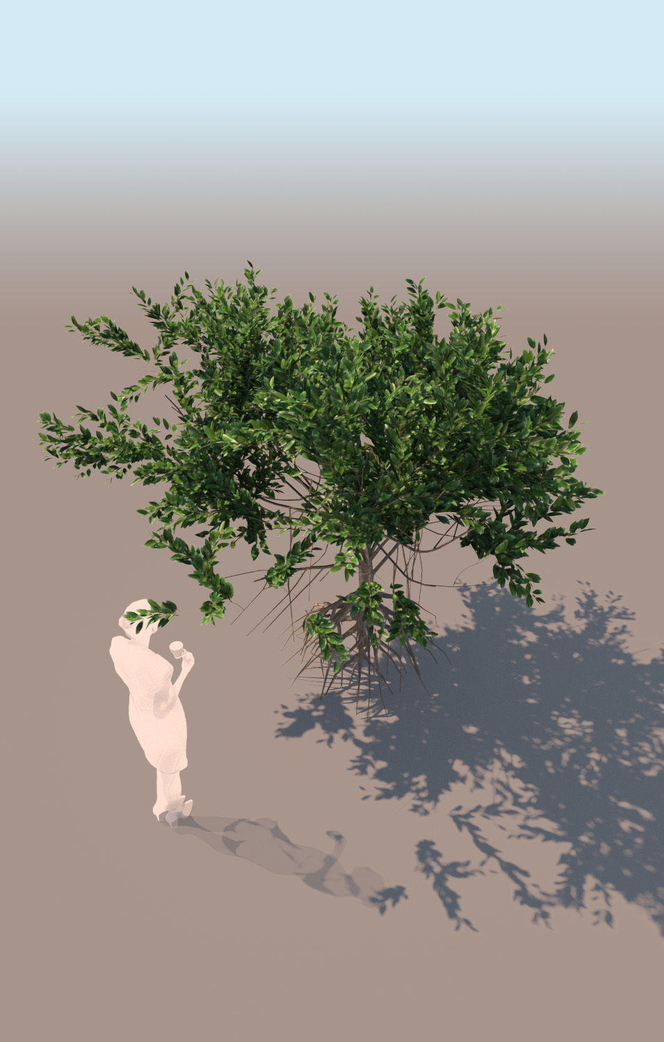 10 mangrove rhizophora mangle models 3D Model Collection_4