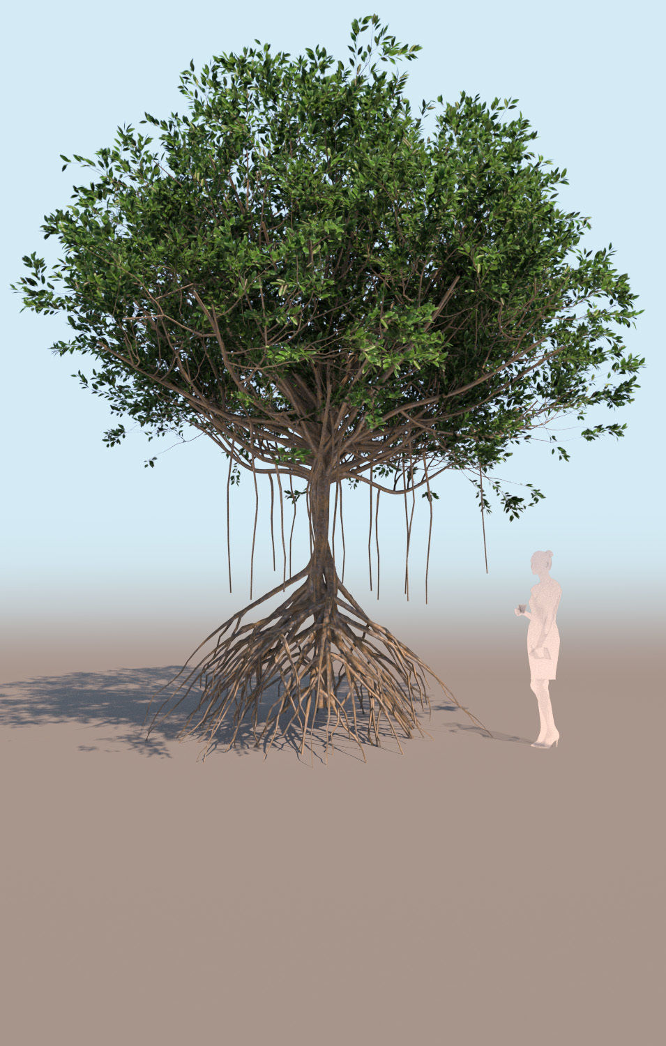 10 mangrove rhizophora mangle models 3D Model Collection_17