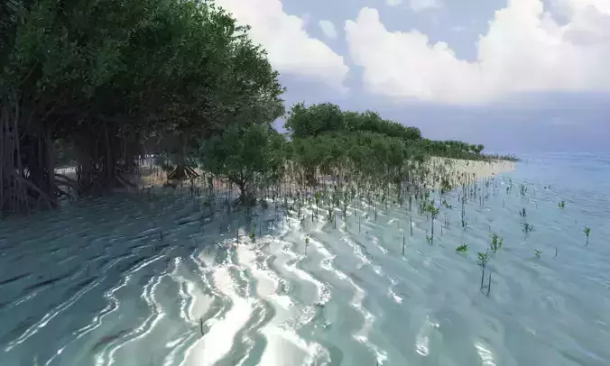 10 mangrove rhizophora mangle models 3D Model Collection