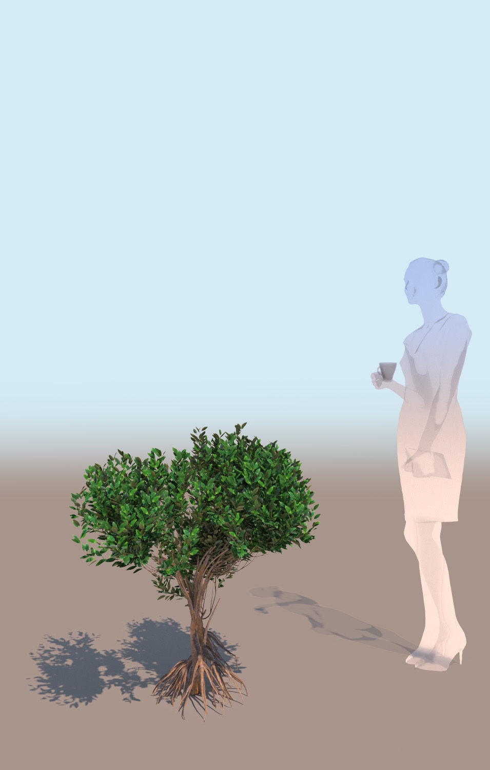 10 mangrove rhizophora mangle models 3D Model Collection_6