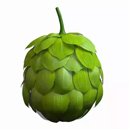 Hops animation loop 3D model