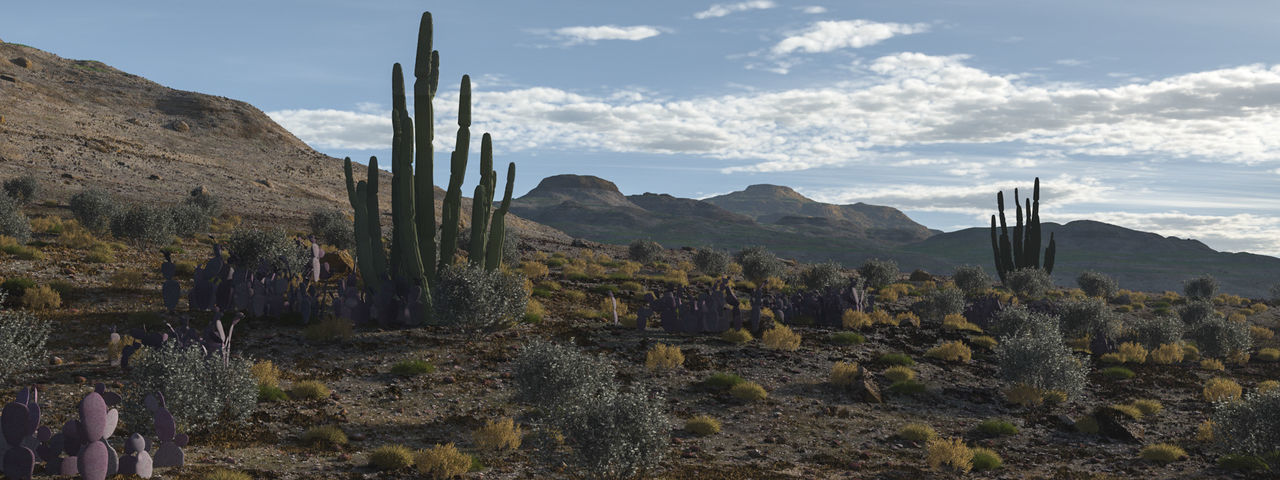 2020 XfrogPlants USA Southwest Library 3D model_1