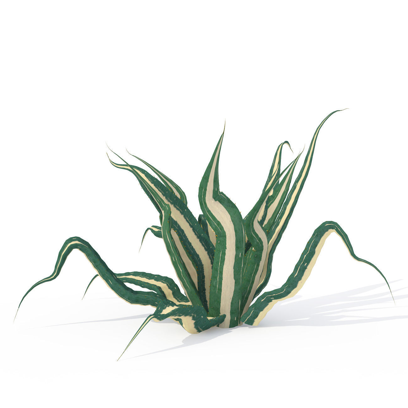 2020 XfrogPlants USA Southwest Library 3D model_13