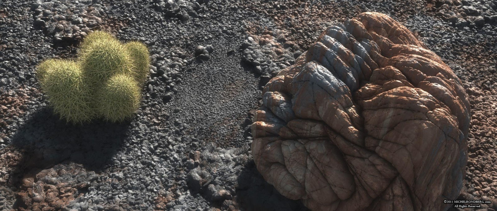 2020 XfrogPlants USA Southwest Library 3D model_2