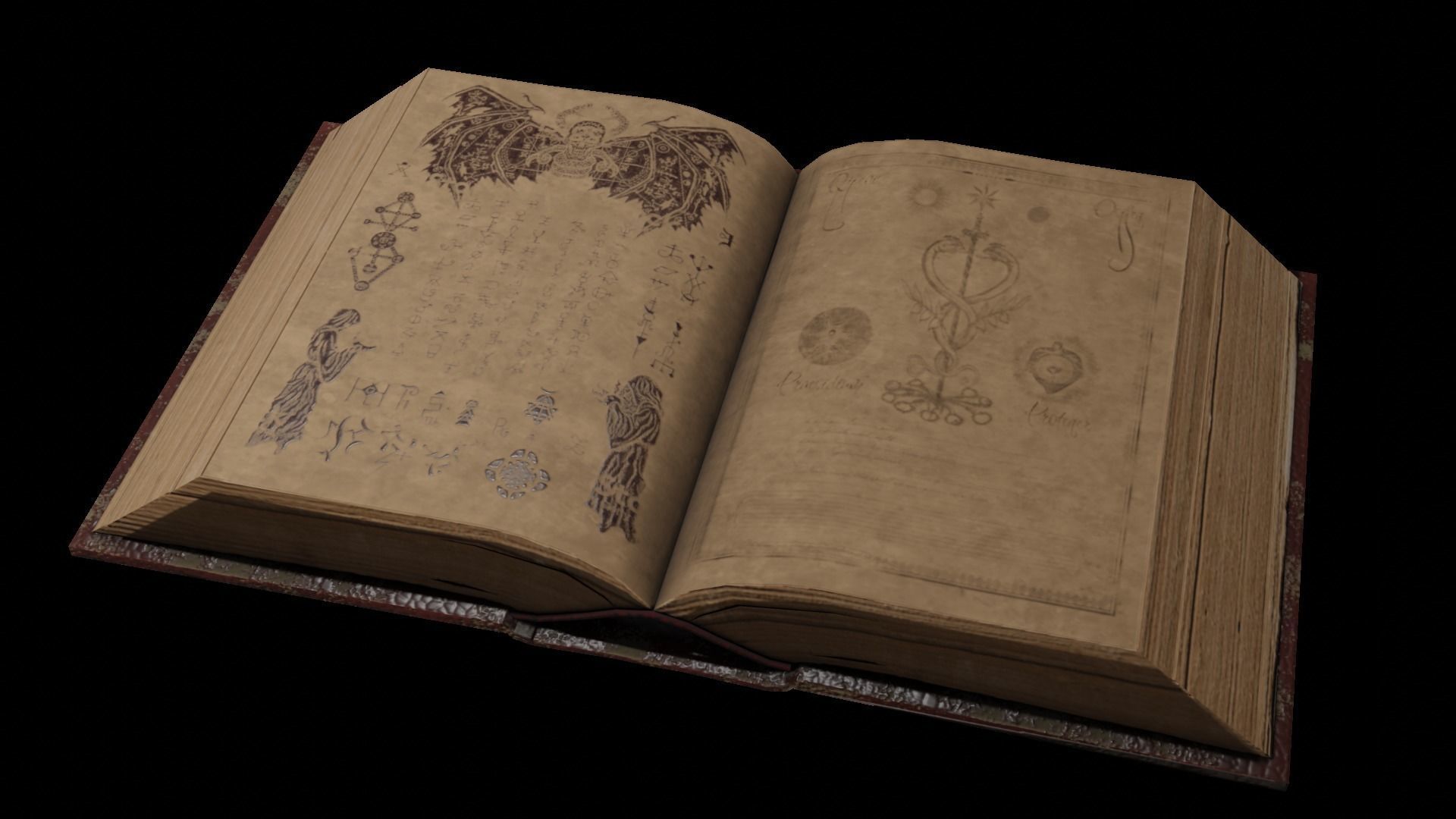 Two magic books Free 3D model_10
