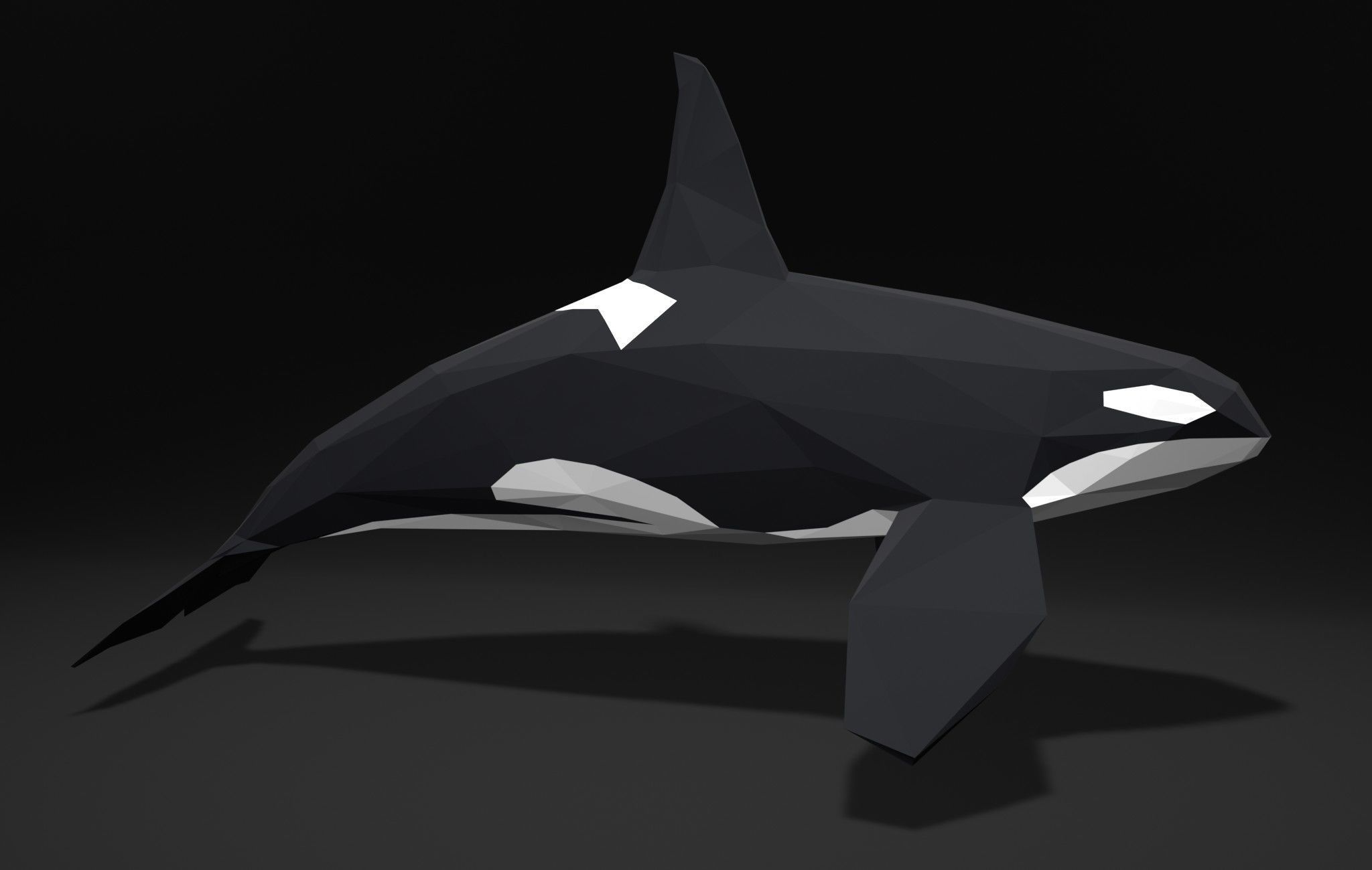 Orca Killer-whale cartoon 3D print model_2