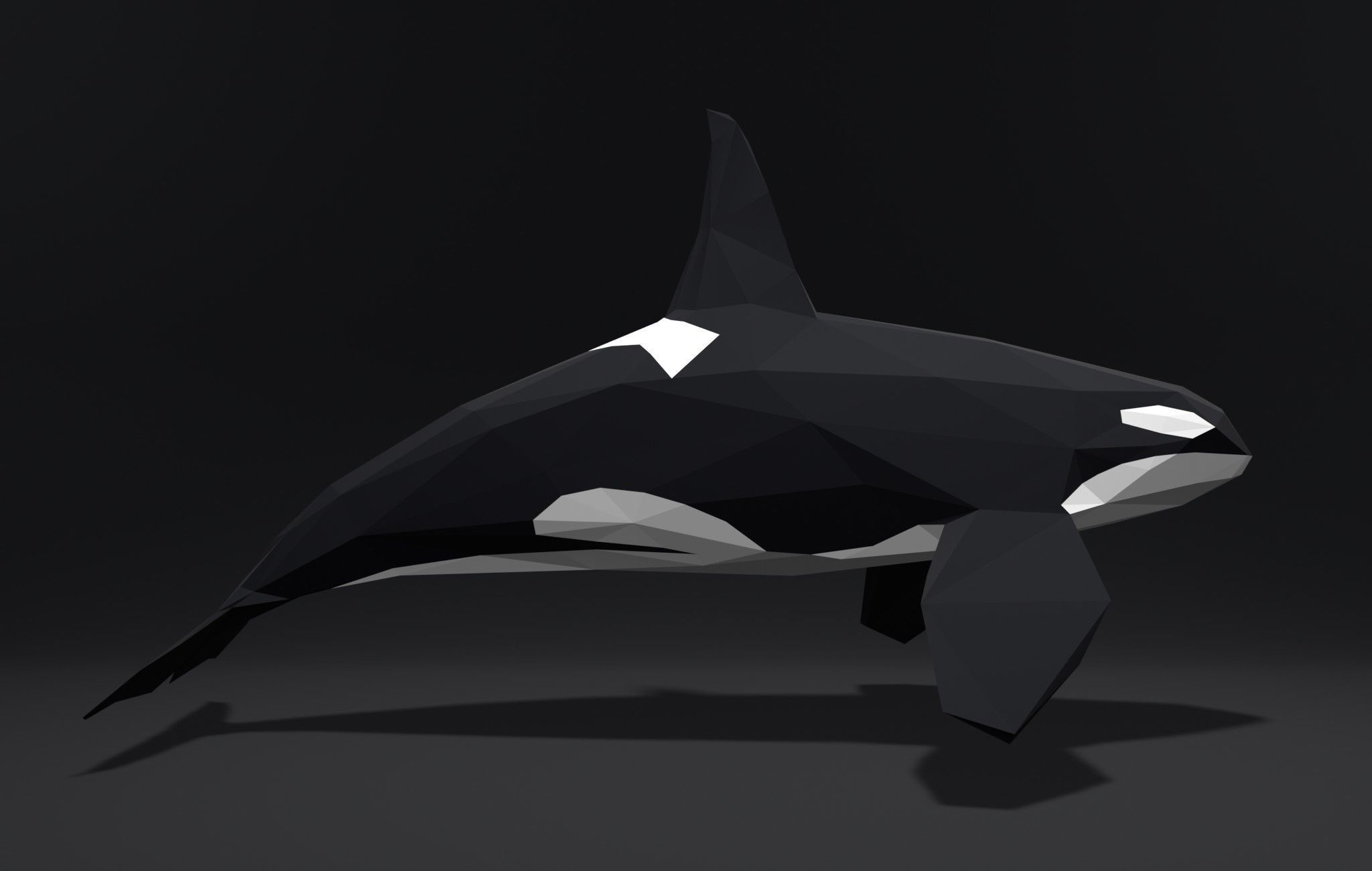 Orca Killer-whale cartoon 3D print model_9