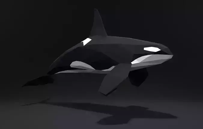 Orca Killer-whale cartoon 3D print model