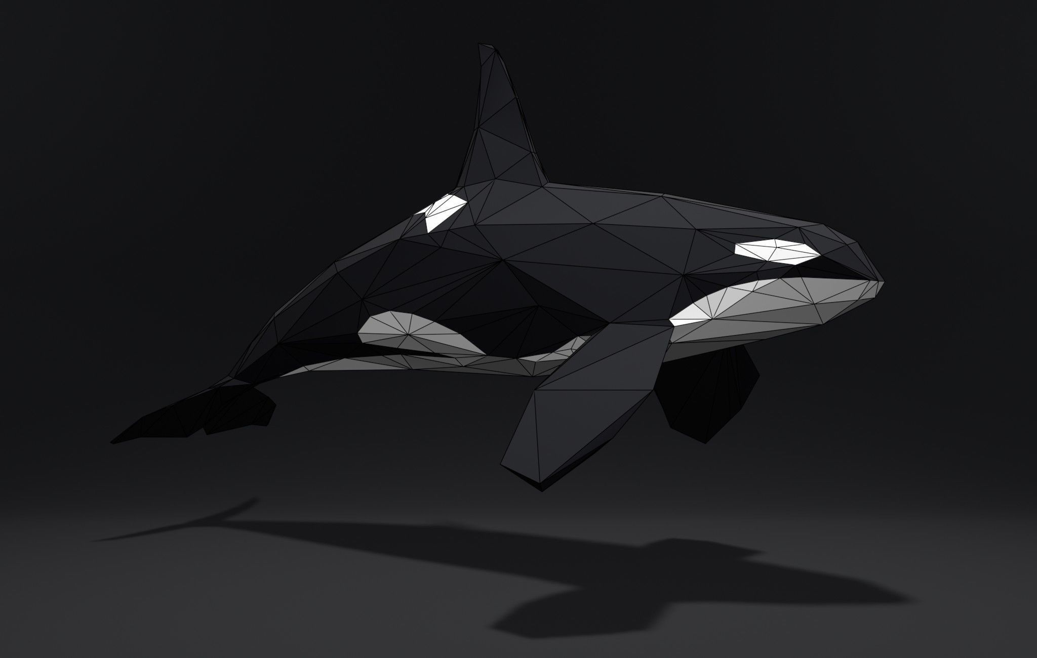 Orca Killer-whale cartoon 3D print model_4