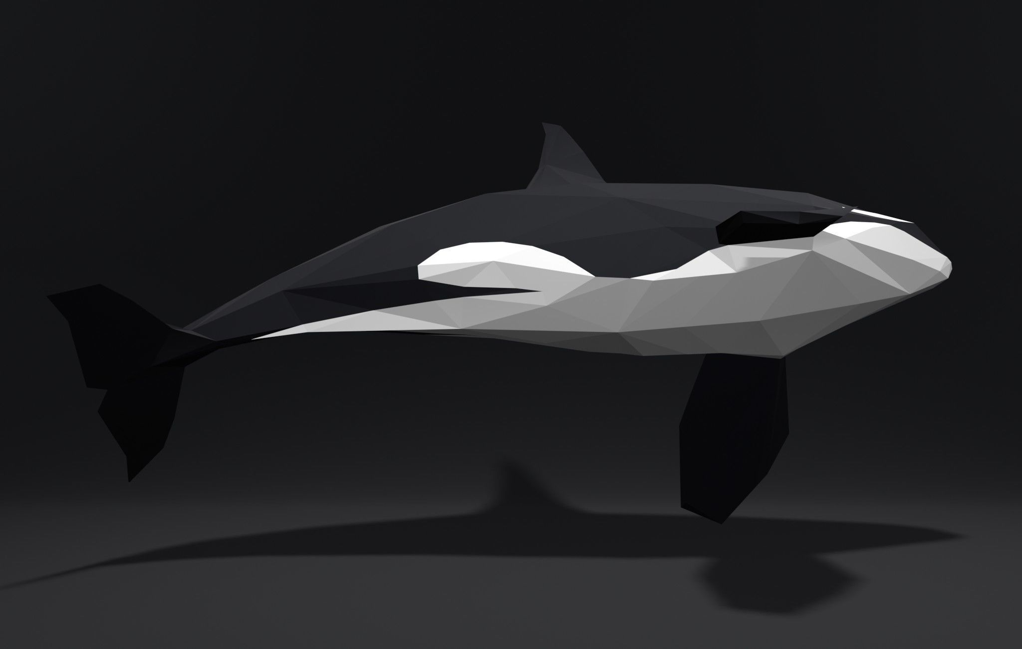 Orca Killer-whale cartoon 3D print model_11