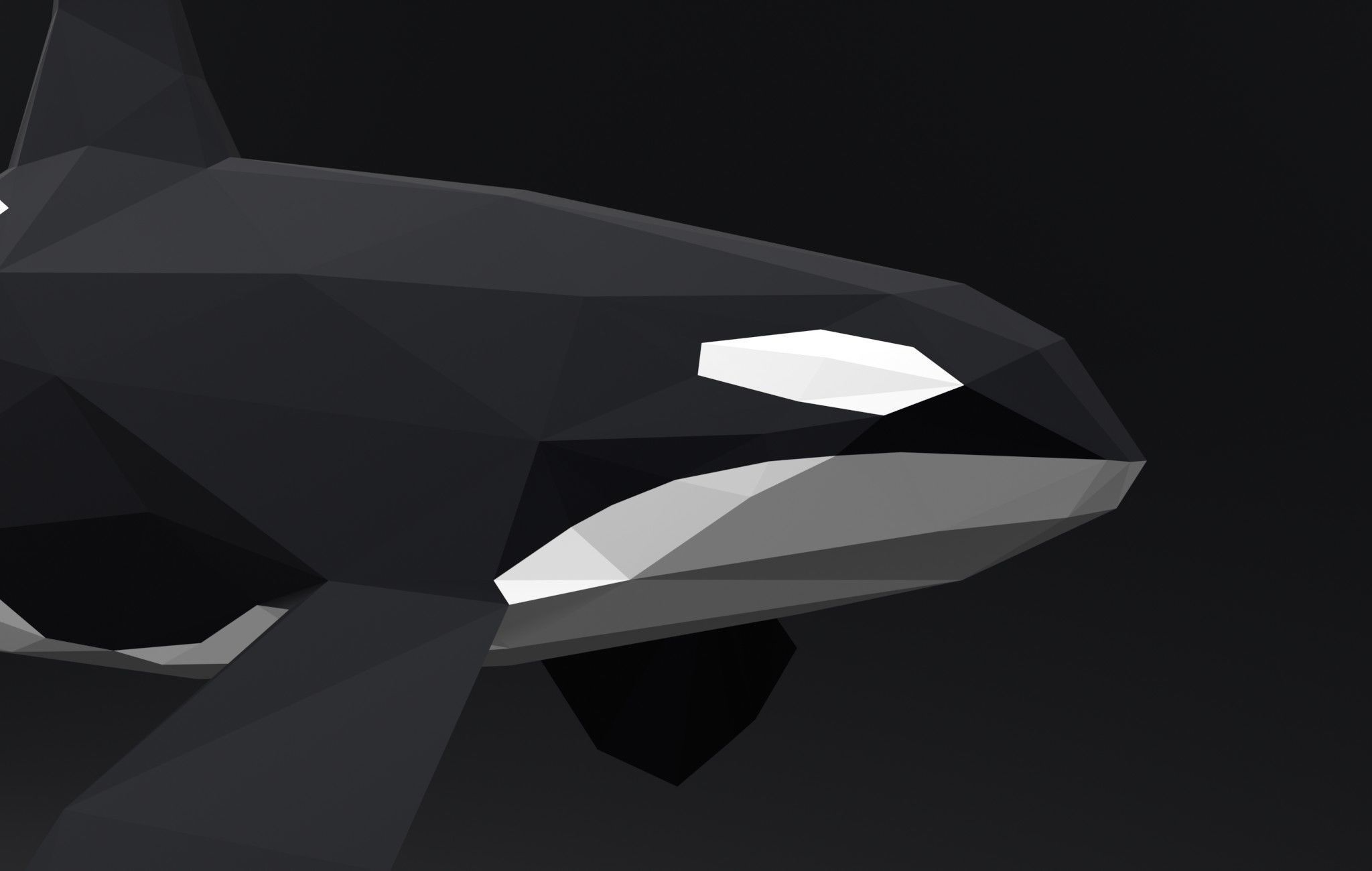 Orca Killer-whale cartoon 3D print model_12