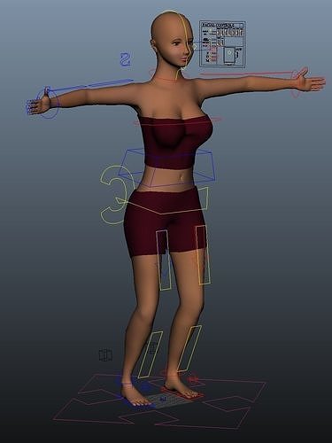 Female Woman Girl Character Rigged MAYA 2020 Free 3D model