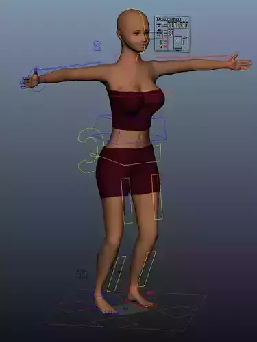 Female Woman Girl Character Rigged MAYA 2020