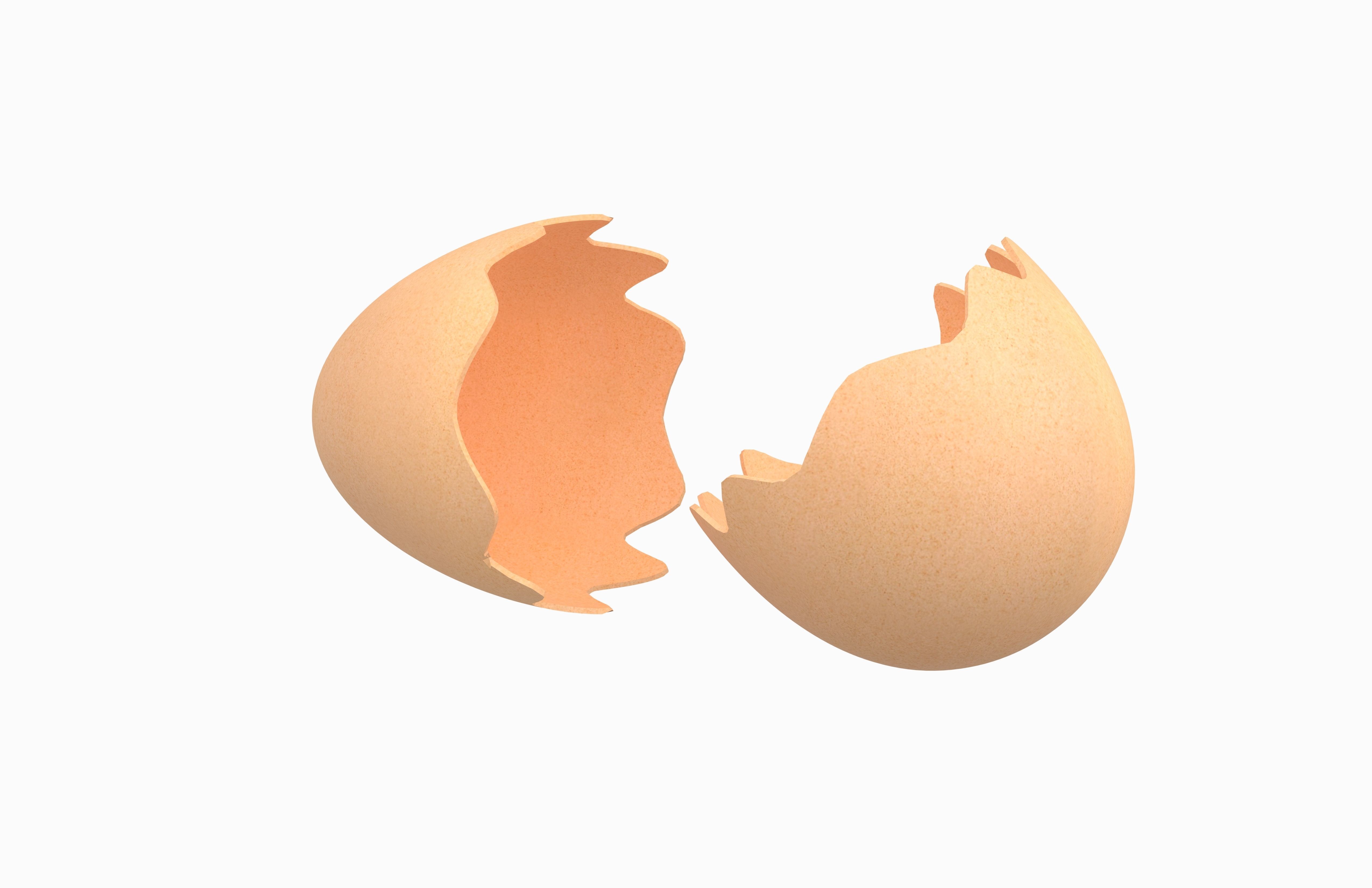 Egg Shell v1 Pack 01 Low-poly 3D model_2