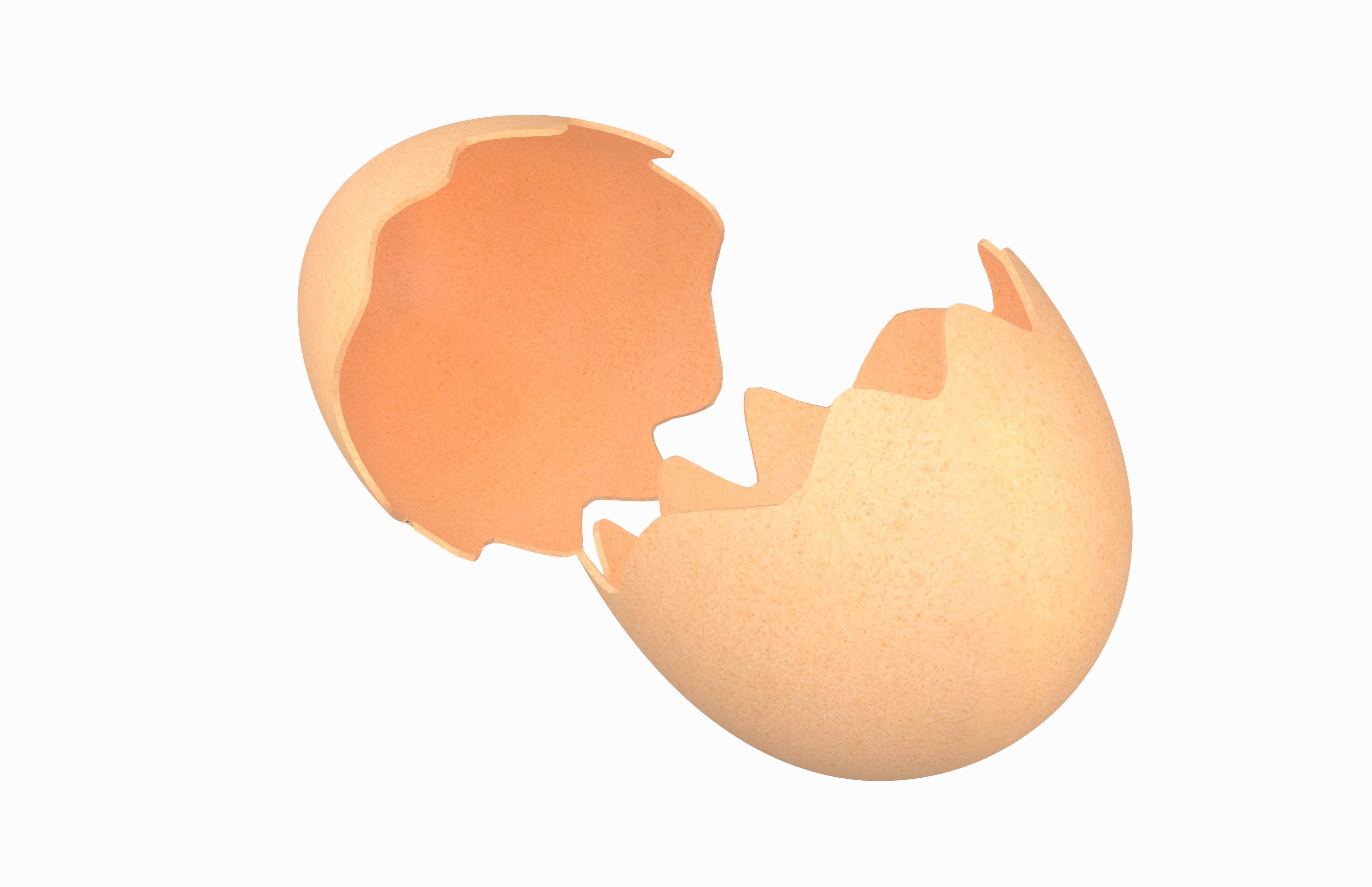 Egg Shell v1 Pack 01 Low-poly 3D model_3